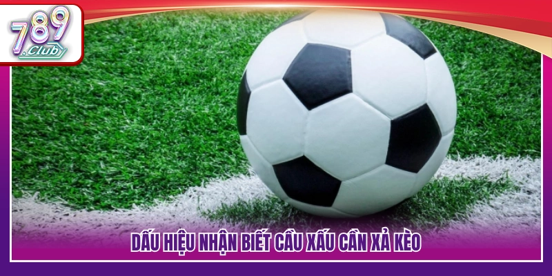 Mẹo Xả Kèo – Bật Mí Cách Thoát Kèo An Toàn Khi Cầu Xấu 2 Những biểu hiện cho thấy kèo đang xấu
